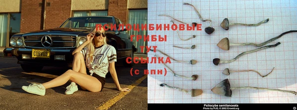 не бодяженный Белоозёрский