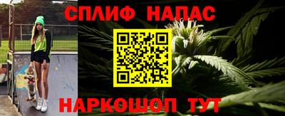 СК Бийск