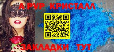 СК Бийск