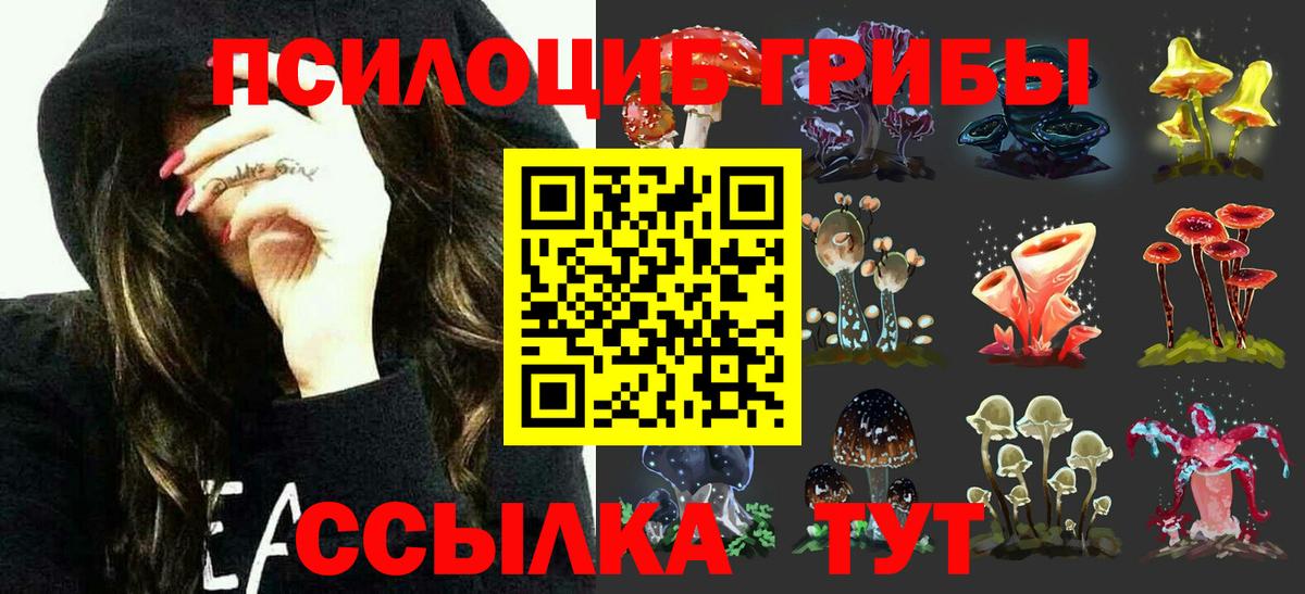 Псилоцибиновые грибы Cubensis Боровичи