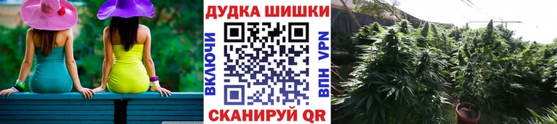 сайты даркнета наркотические препараты  Боровичи  Бошки марихуана марихуана  хочу наркоту 